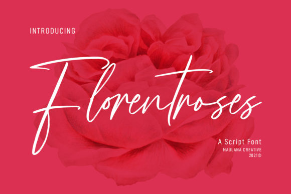 Florentroses Signature Font Review for Campaigns
