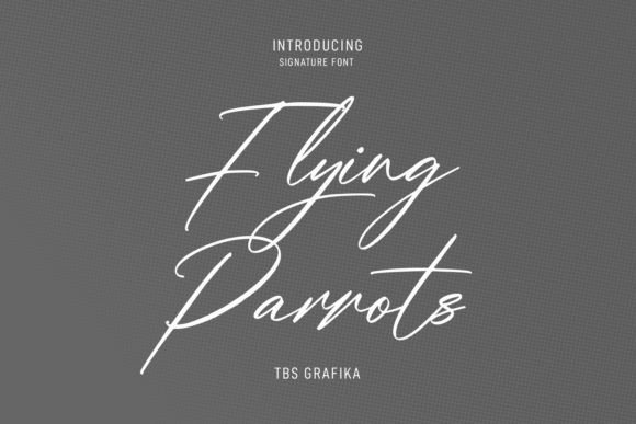 Flying Parrots: A Signature Script Font for Web Design