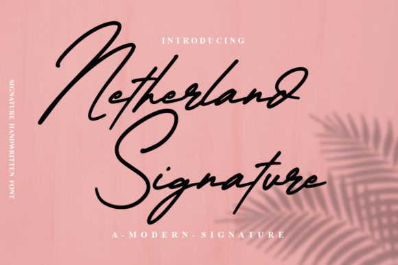 Netherland Signature: A Chic Script Font for Modern Brands