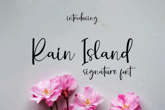 Rain Island: The Signature Font for Modern Brands